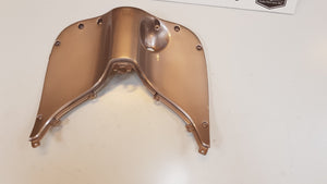 Beenschild