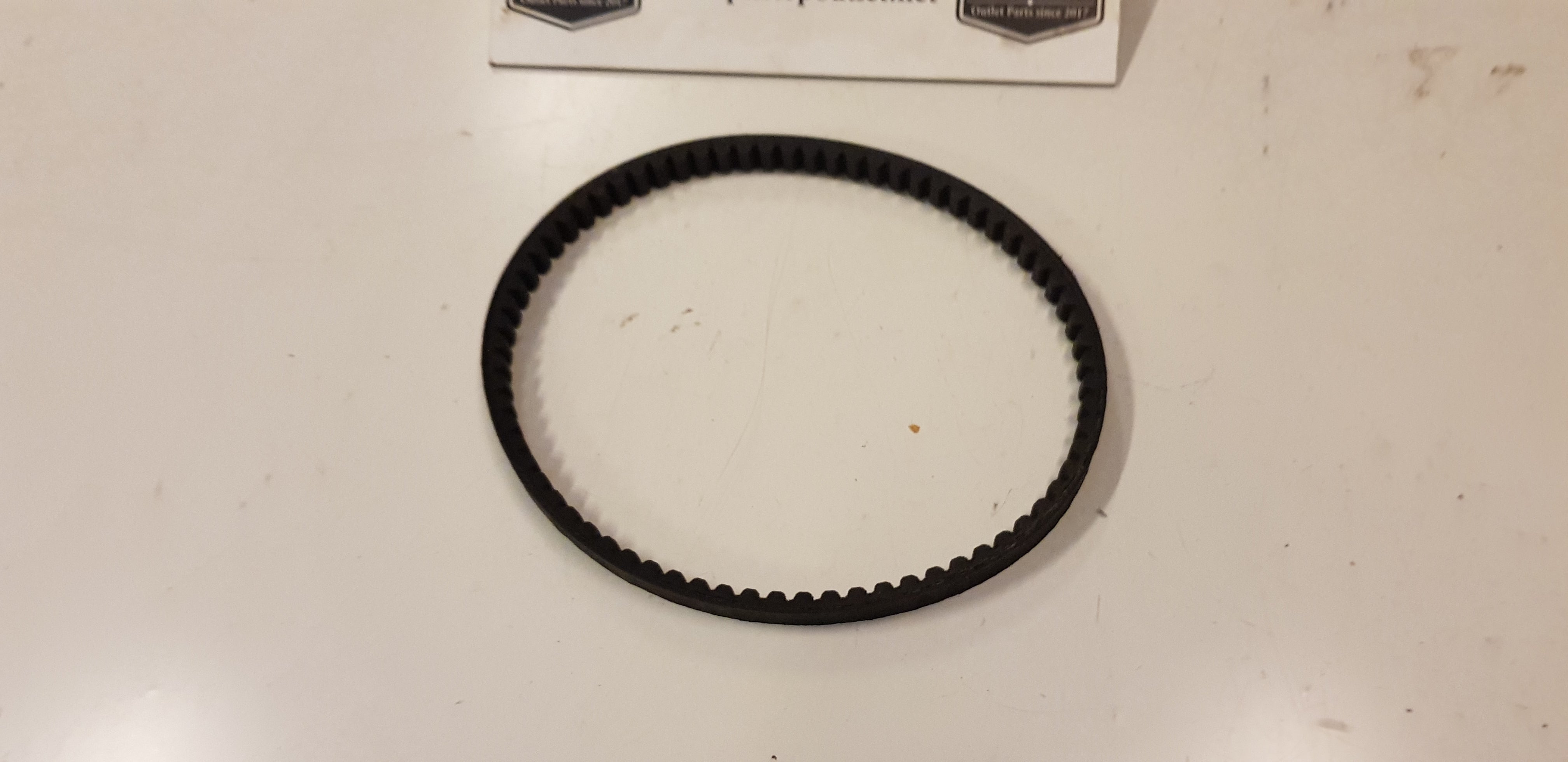 V-snaar (12 inch)