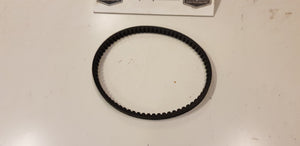 V-snaar (12 inch)